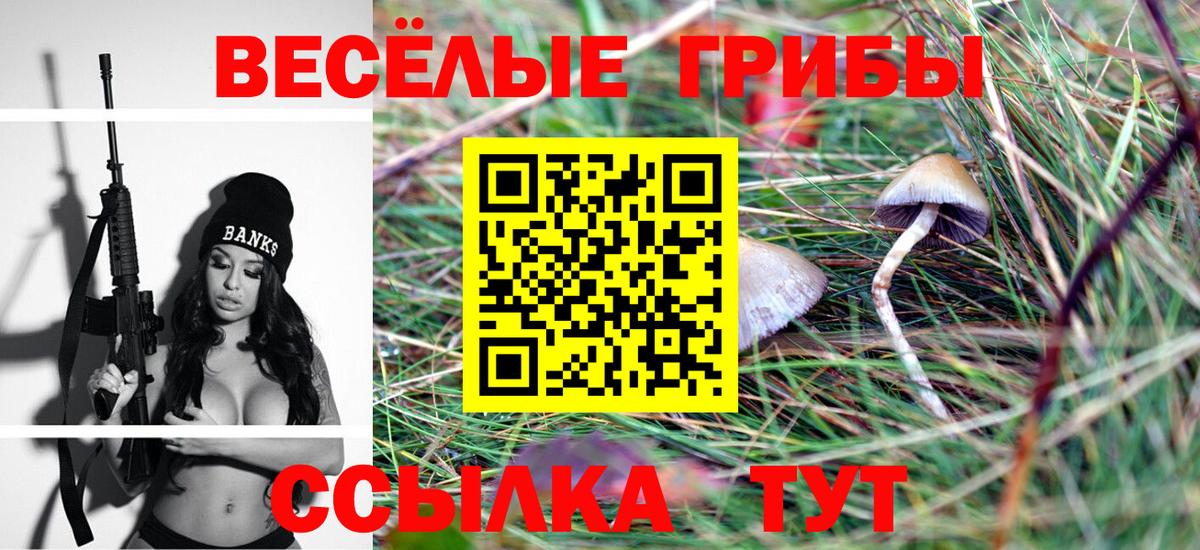 Галлюциногенные грибы GOLDEN TEACHER  Вход с VPN  Лениногорск 